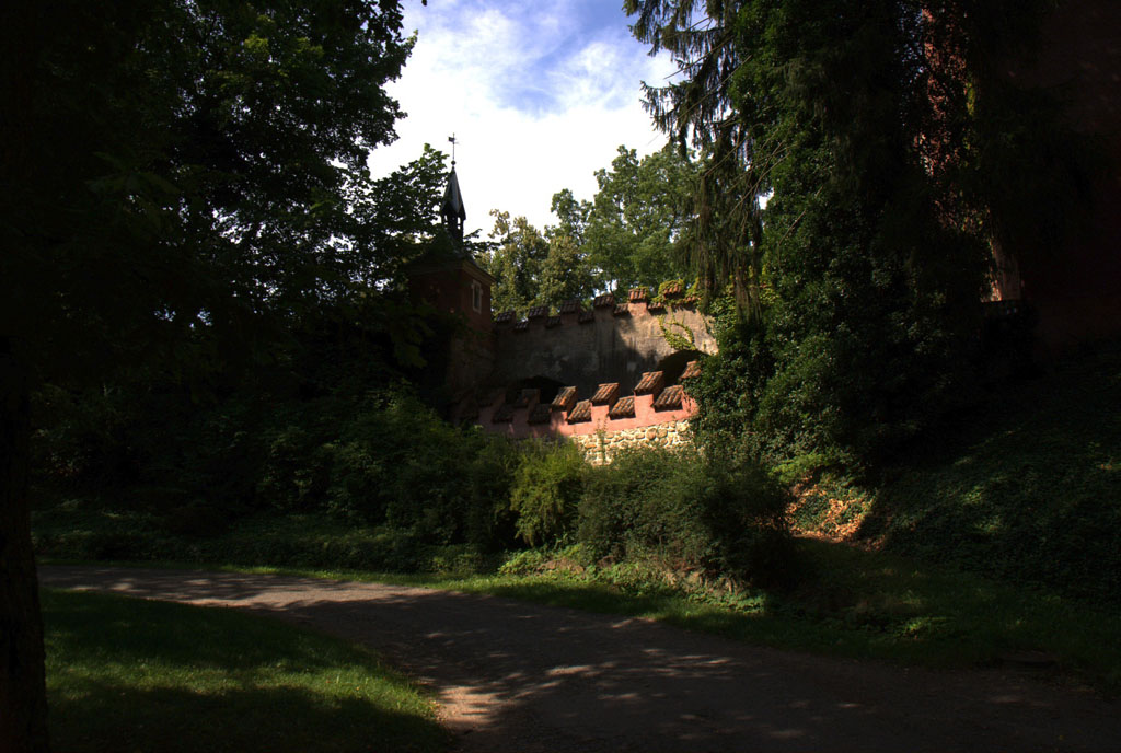 DSC02916.jpg