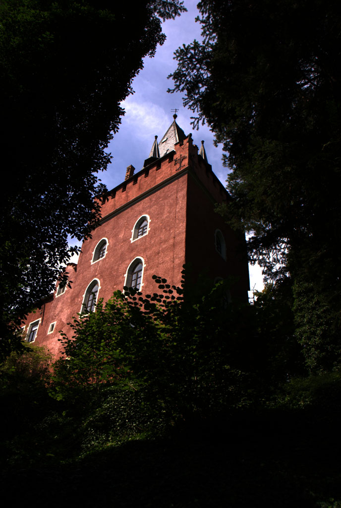 DSC02931.jpg