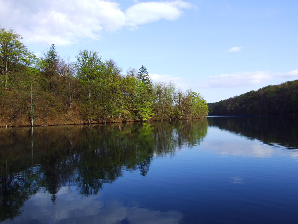 DSCF5709.jpg