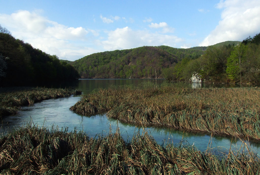 DSCF5732.jpg