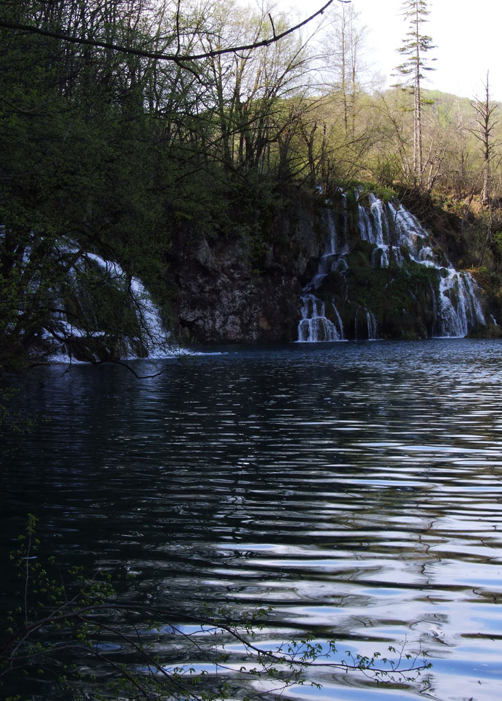 DSCF5740.jpg
