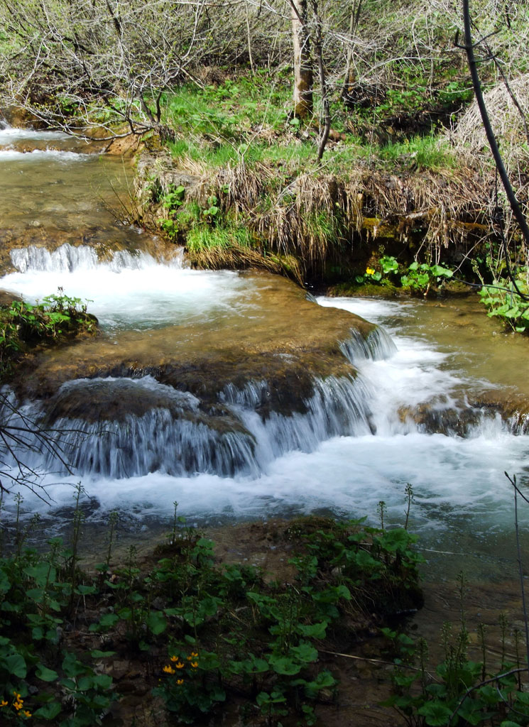 DSCF5821.jpg