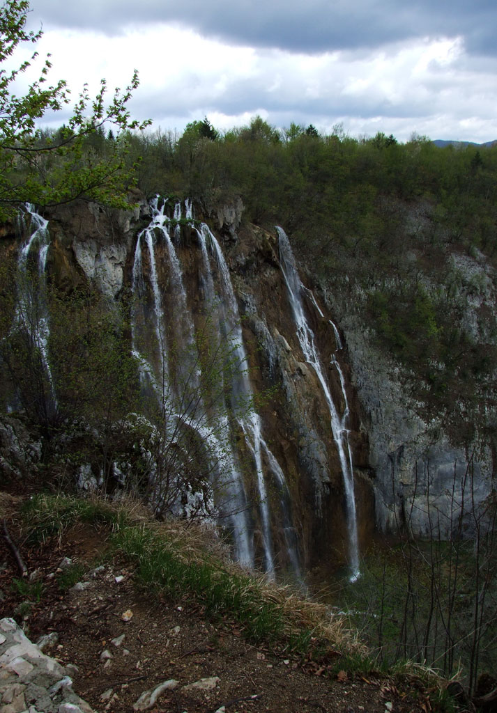DSCF5857.jpg