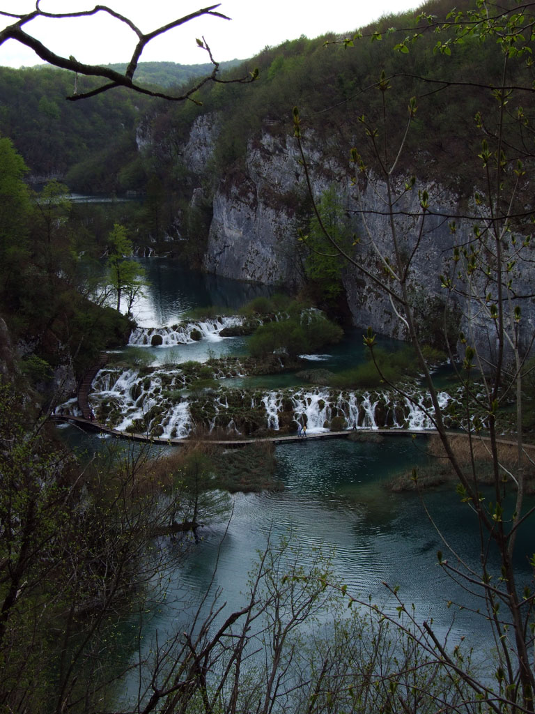DSCF5910.jpg