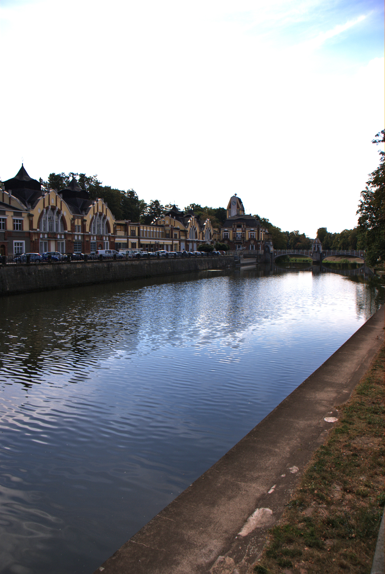 DSC03130.jpg
