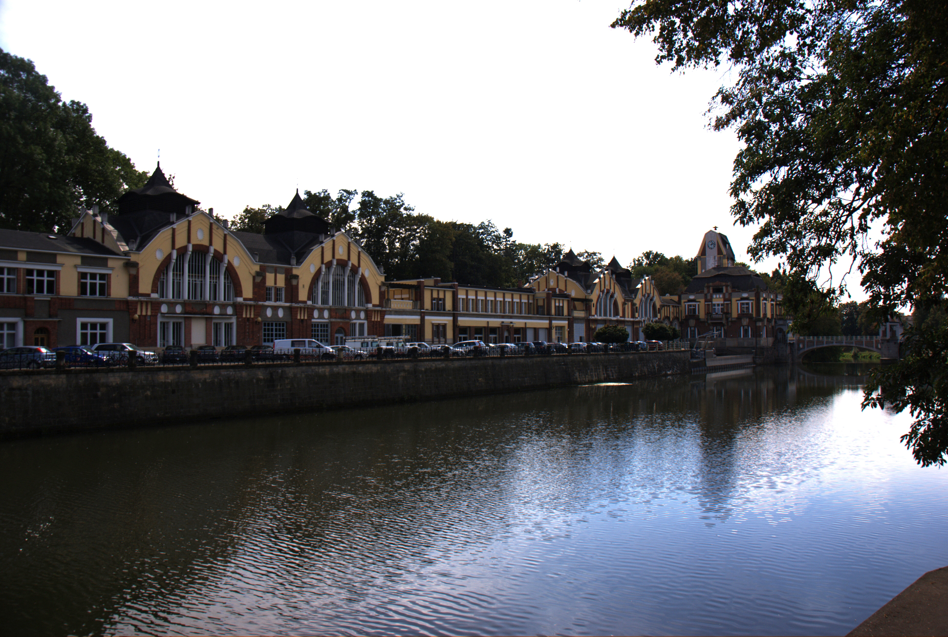 DSC03131.jpg